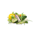 Bouillon