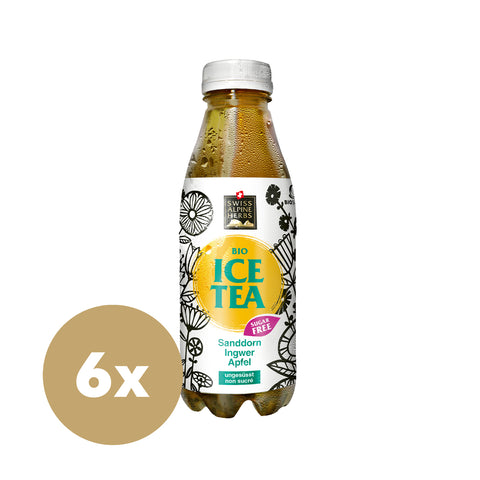 Bio Ice Tea sugarfree Ingwer