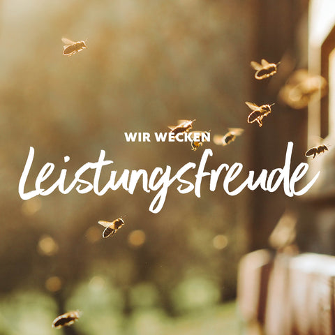 Mehrere Bienen fliegen vor einem unscharfen Hintergrund mit warmem Licht, darüber der Text 'WIR WECKEN Leistungsfreude'
